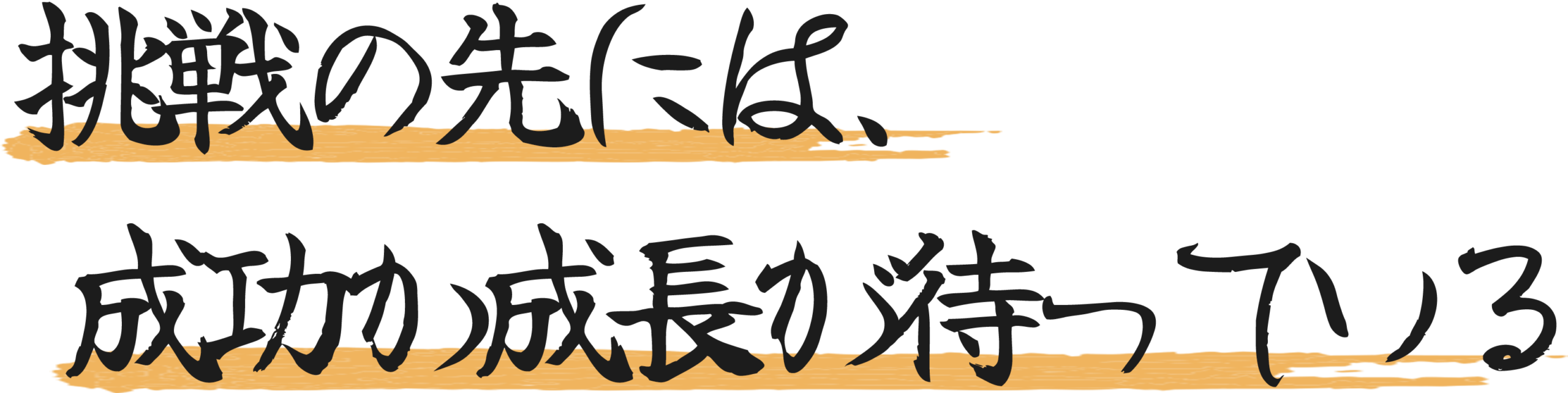 挑戦の先には、成功か成長が待っている